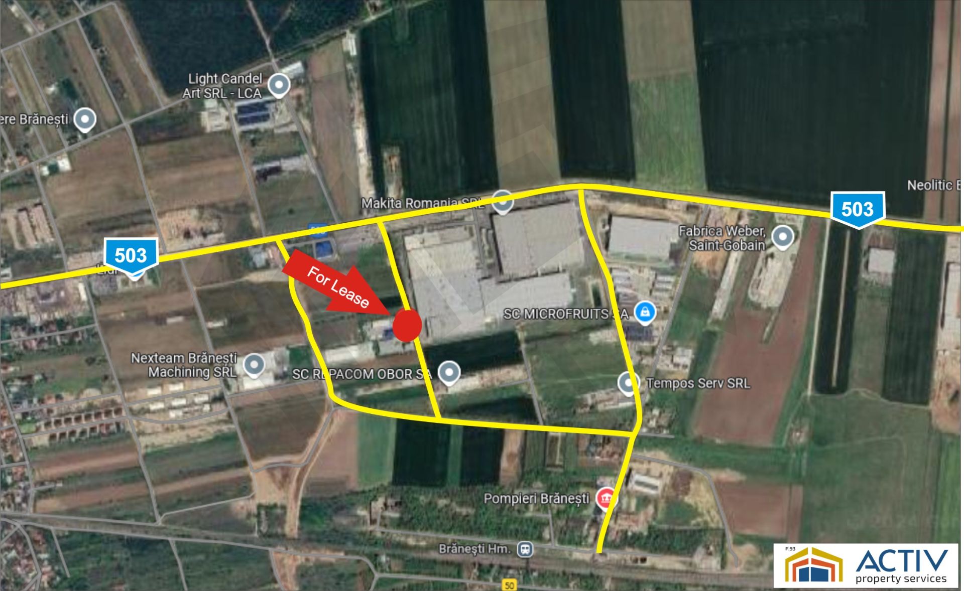 Hala de vanzare, zona Branesti. Imagine amplasament harta - satelit