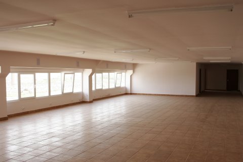 RGI Business Park inchirieri proprietati industriale Orastie vest interior birouri