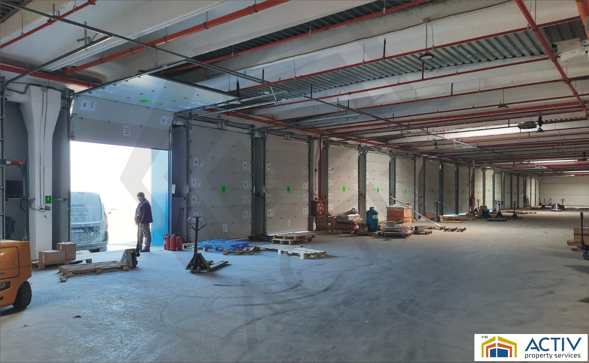 5 site.JPG