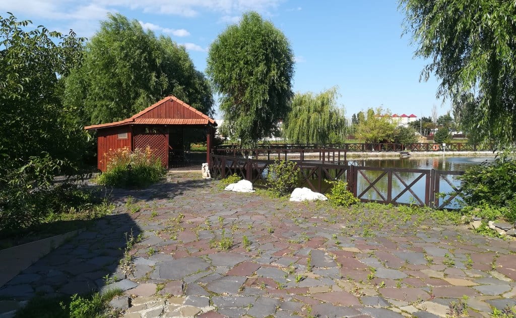 Rompak Pascani inchiriere spatiu depozitare Pascani nord vedere curte